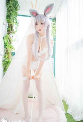 娇娃们