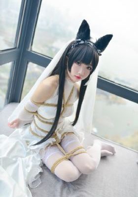 星梦泪痕